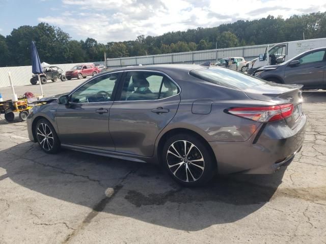 2019 Toyota Camry Hybrid