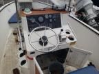 2010 Bluewater Yachts Boat