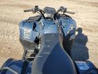 2025 Kawasaki Brute Force 450 ATV