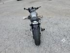 2019 Triumph Speed Twin
