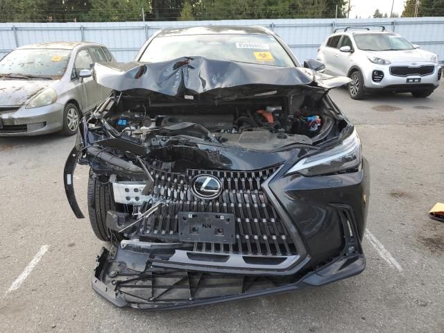 2024 Lexus NX 350H Base