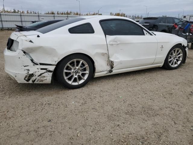 2013 Ford Mustang