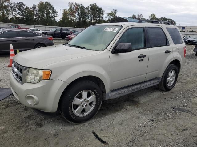 2009 Ford Escape XLT