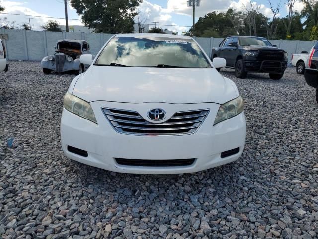 2009 Toyota Camry Hybrid