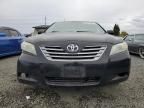 2008 Toyota Camry Hybrid
