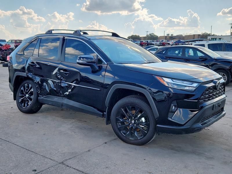 2025 Toyota Rav4 XLE Premium