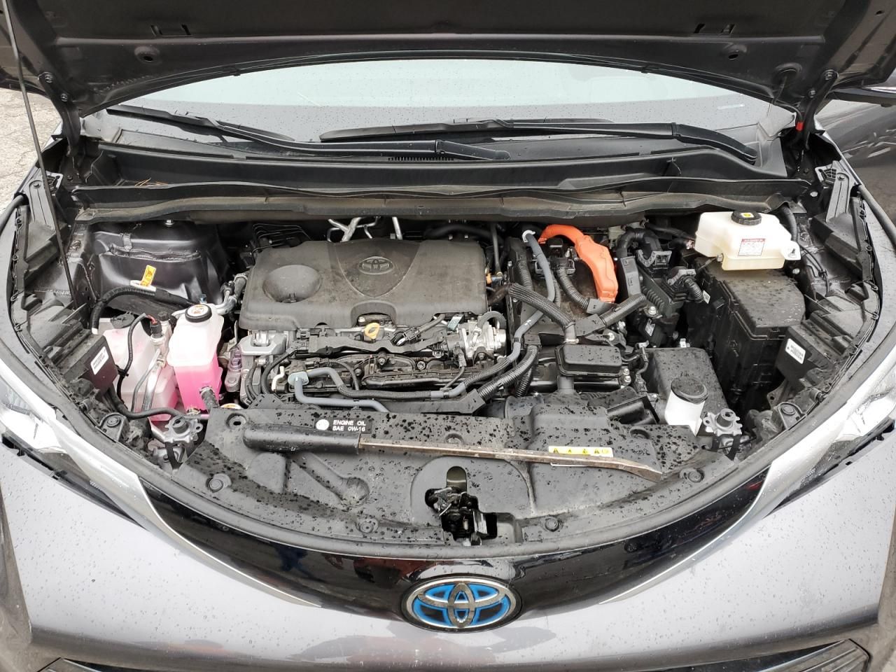 2025 Toyota Sienna Limited