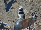 2013 Harley-Davidson XL883 Superlow