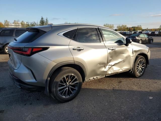 2025 Lexus Nx 250 Base