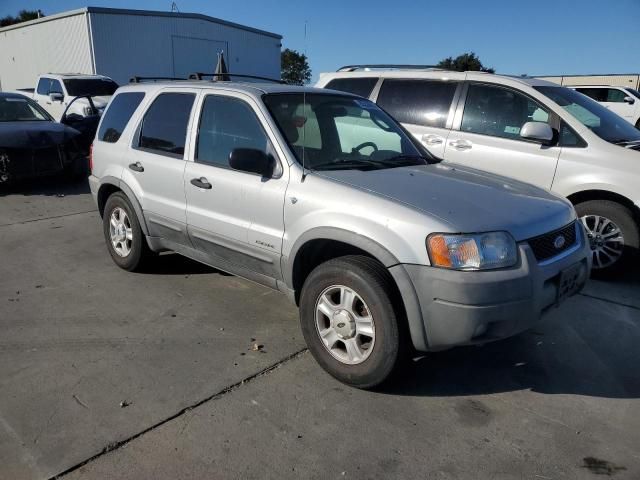 2002 Ford Escape XLT