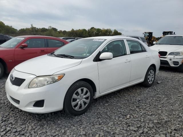 2010 Toyota Corolla Base