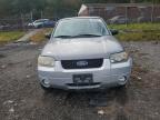 2007 Ford Escape xlt