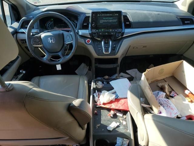 2024 Honda Odyssey exl