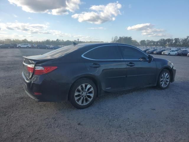 2013 Lexus ES 300H