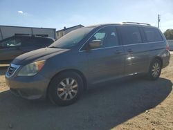 Honda salvage cars for sale: 2008 Honda Odyssey EX