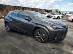 2024 Lexus UX 250H Base