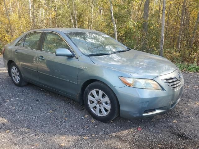 2008 Toyota Camry Hybrid