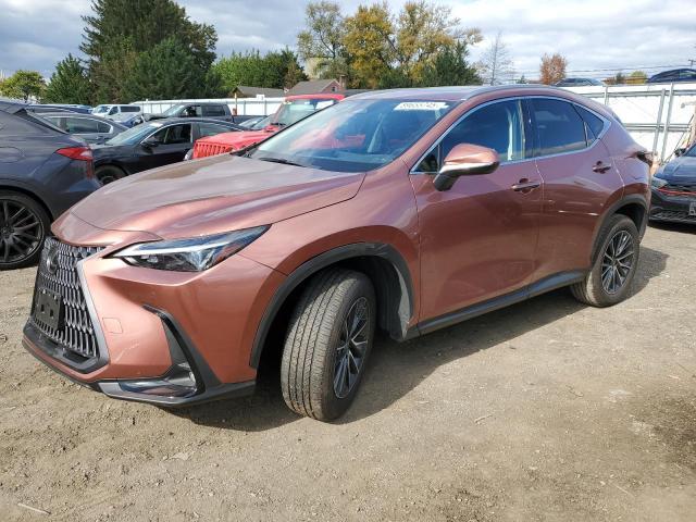 2025 Lexus Nx 350h Base