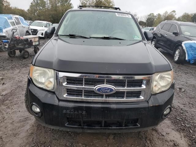 2010 Ford Escape XLT