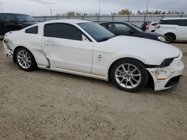 2013 Ford Mustang