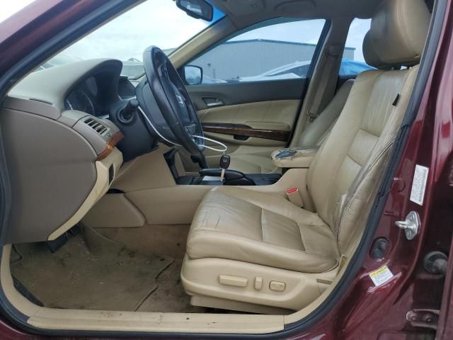 2010 Honda Accord EXL