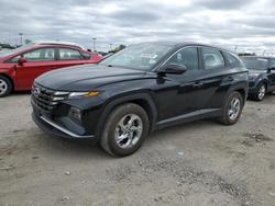 2022 Hyundai Tucson se en venta en Indianapolis, IN