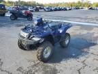 2011 Suzuki Kingquad 750