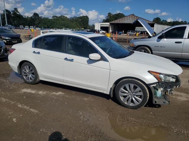2011 Honda Accord EXL