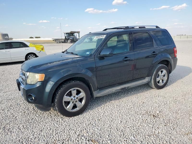 2009 Ford Escape Limited