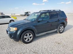 2009 Ford Escape Limited for sale in Taylor, TX