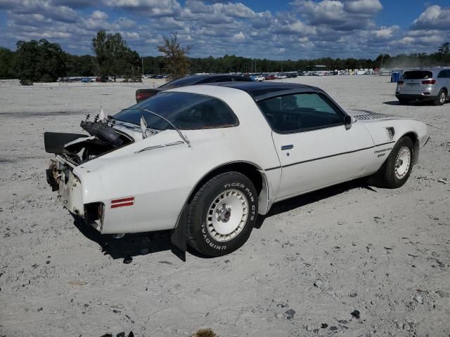 1981 Pontiac Firebird SE
