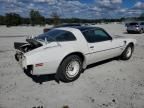 1981 Pontiac Firebird SE