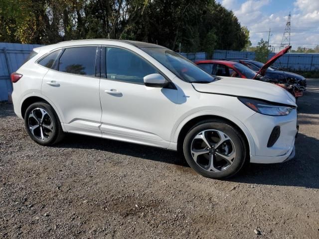 2024 Ford Escape ST Line Select