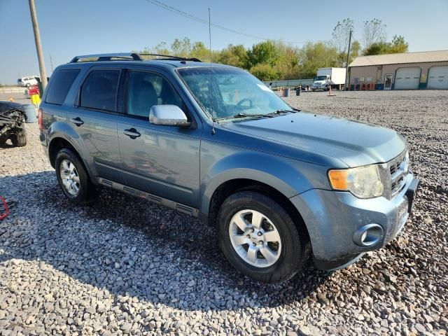 2012 Ford Escape Limited