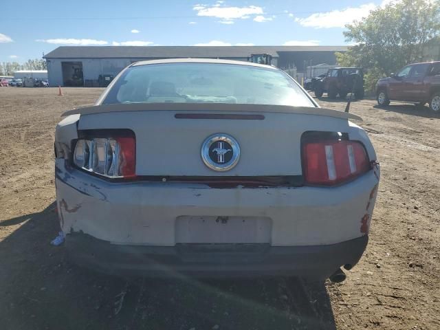2010 Ford Mustang