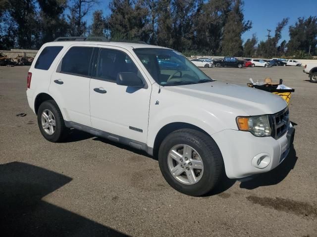 2008 Ford Escape HEV