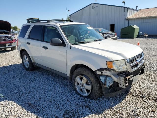2009 Ford Escape XLT