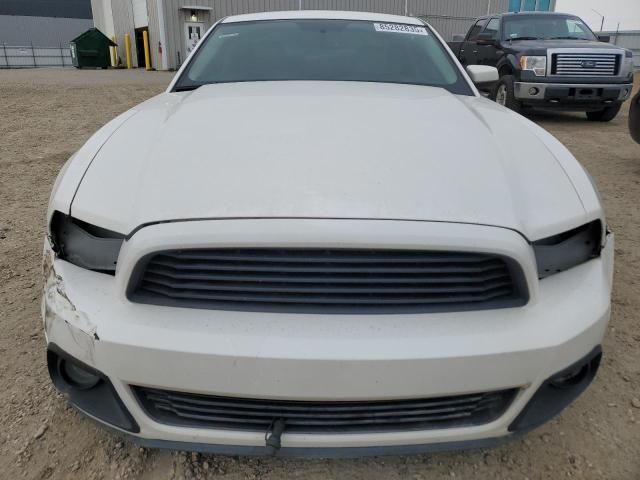2013 Ford Mustang
