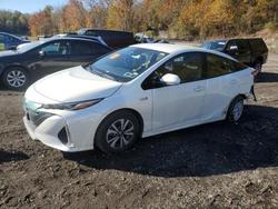 Toyota Prius salvage cars for sale: 2017 Toyota Prius Prime