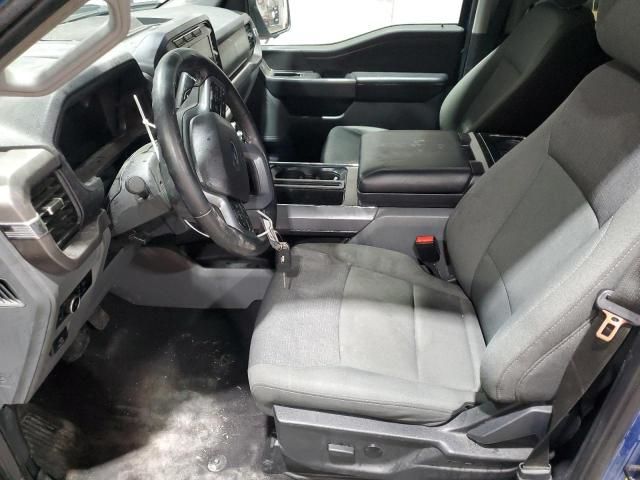 2024 Ford F150 XLT