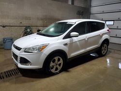 2015 Ford Escape SE for sale in Blaine, MN