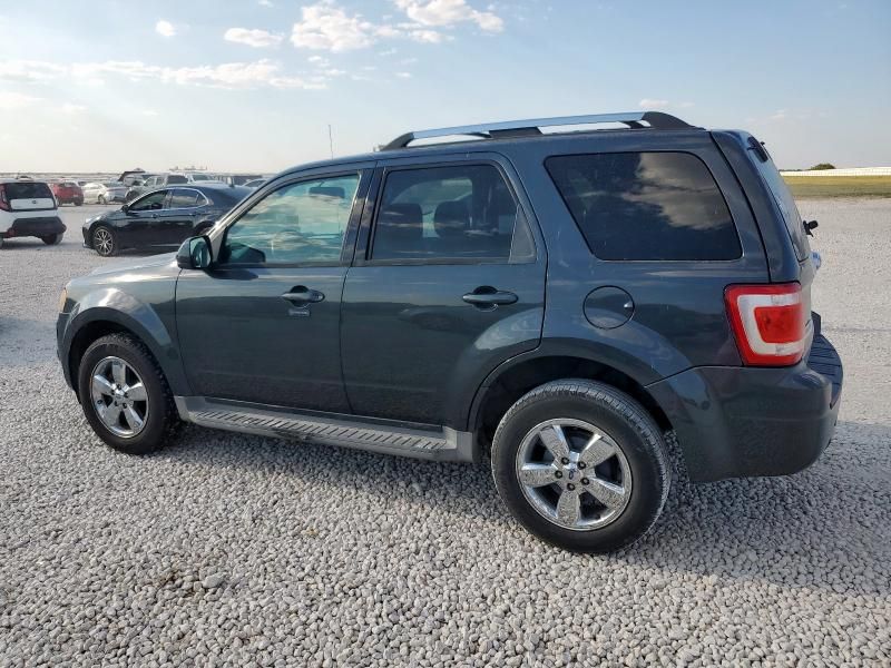 2009 Ford Escape Limited