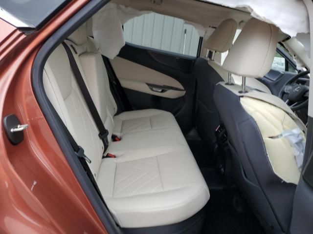 2025 Lexus NX 450H Luxury
