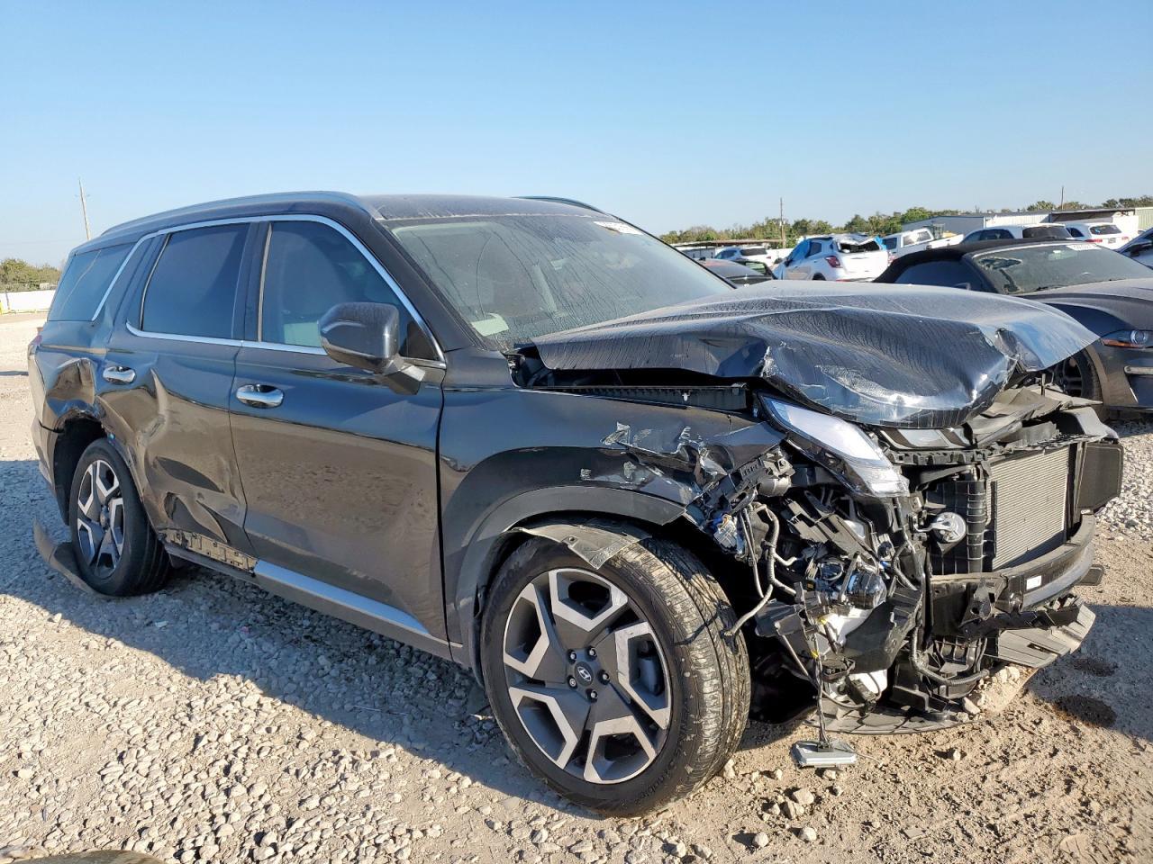 2025 Hyundai Palisade sel Premium