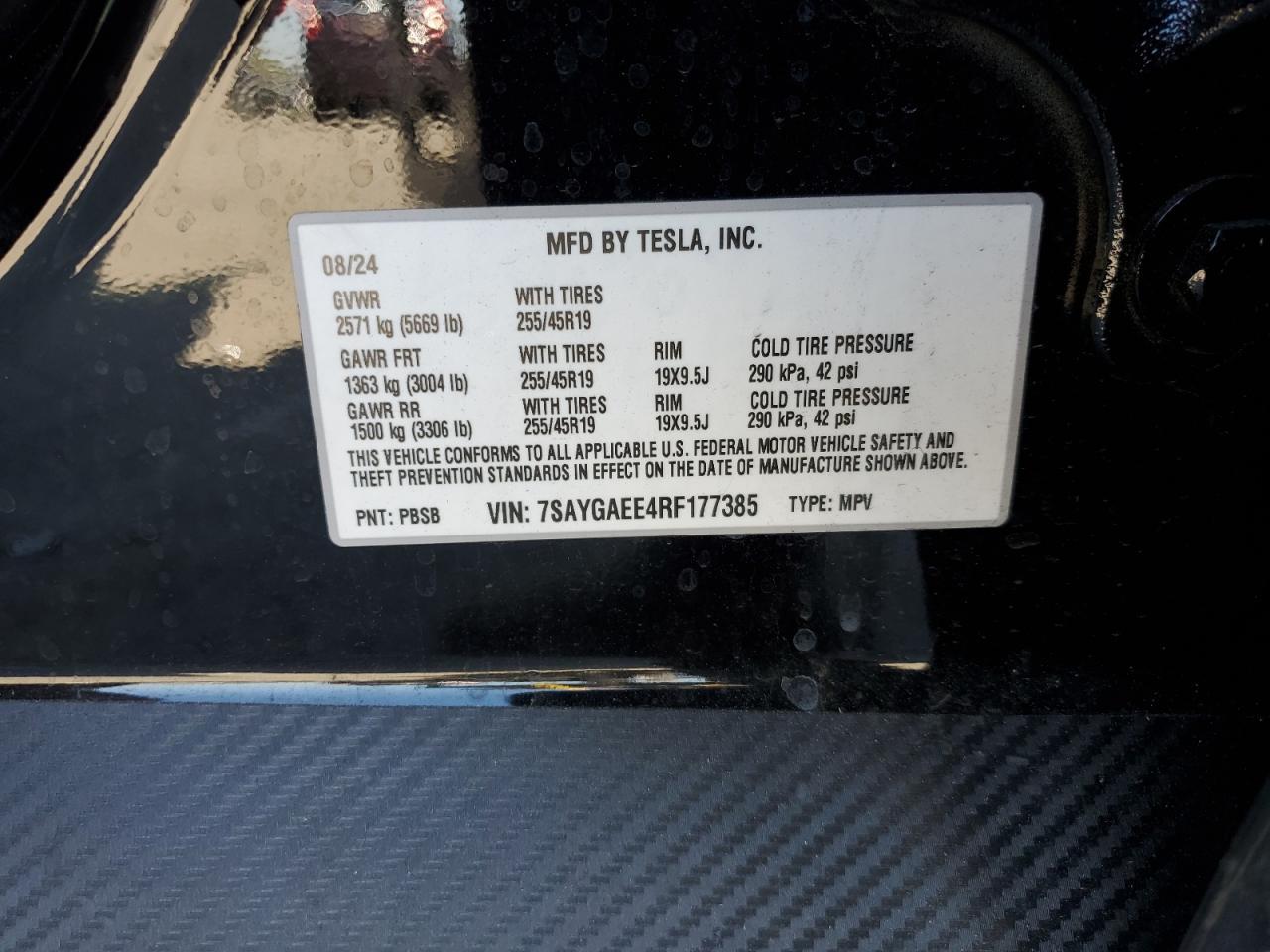 2024 Tesla Model y