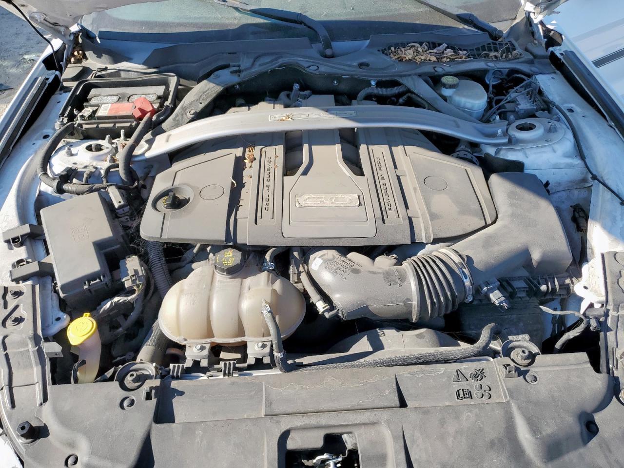 2019 Ford Mustang gt