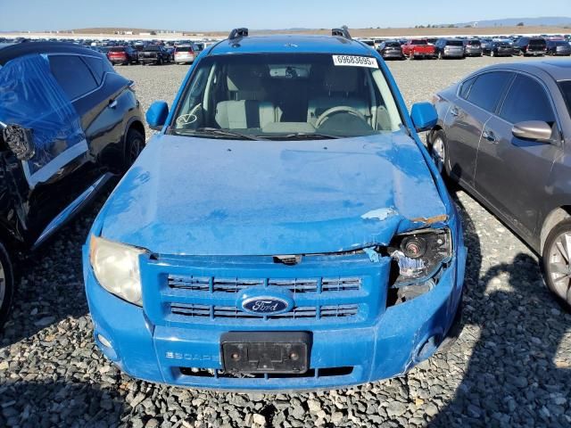 2009 Ford Escape Hybrid