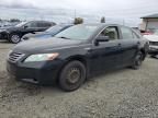 2008 Toyota Camry Hybrid