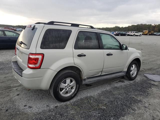 2009 Ford Escape XLT