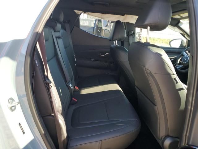 2025 Hyundai Santa Cruz sel Activity